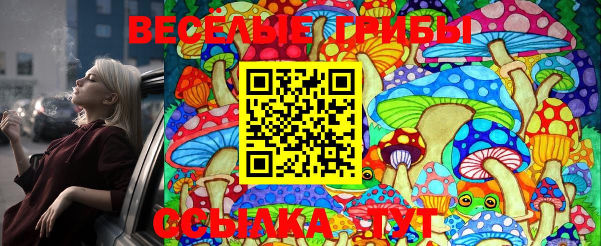 Галлюциногенные грибы MAGIC MUSHROOMS Осинники