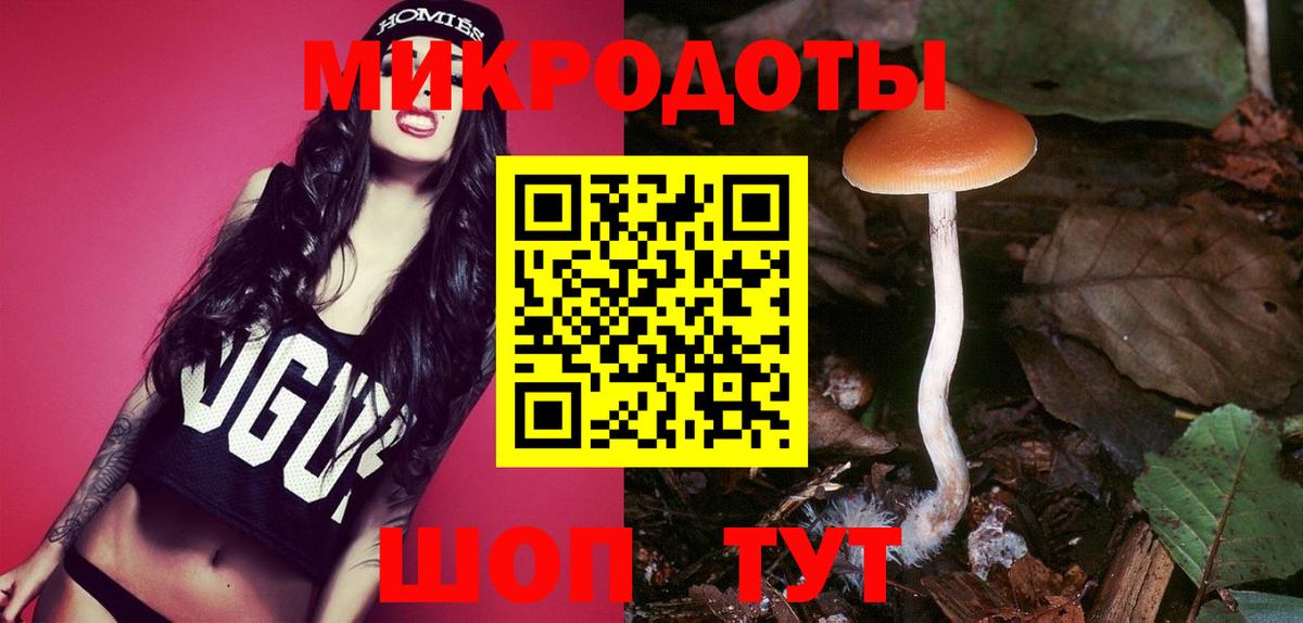 Галлюциногенные грибы MAGIC MUSHROOMS  Вход с VPN  Псилоцибиновые грибы Psilocybe  наркотики  Осинники 